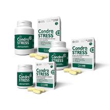 Condrostress (+) 30Cpr Masticabili New Minsan 976311377